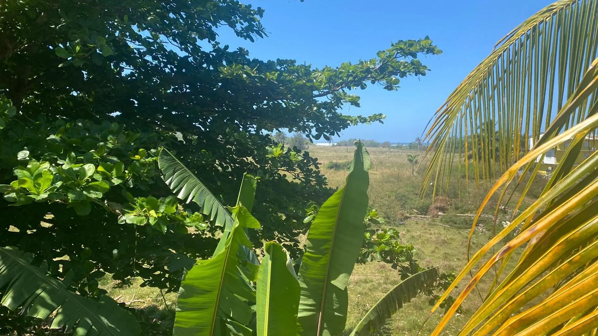 Gæstehus Villa Marsana Aguada