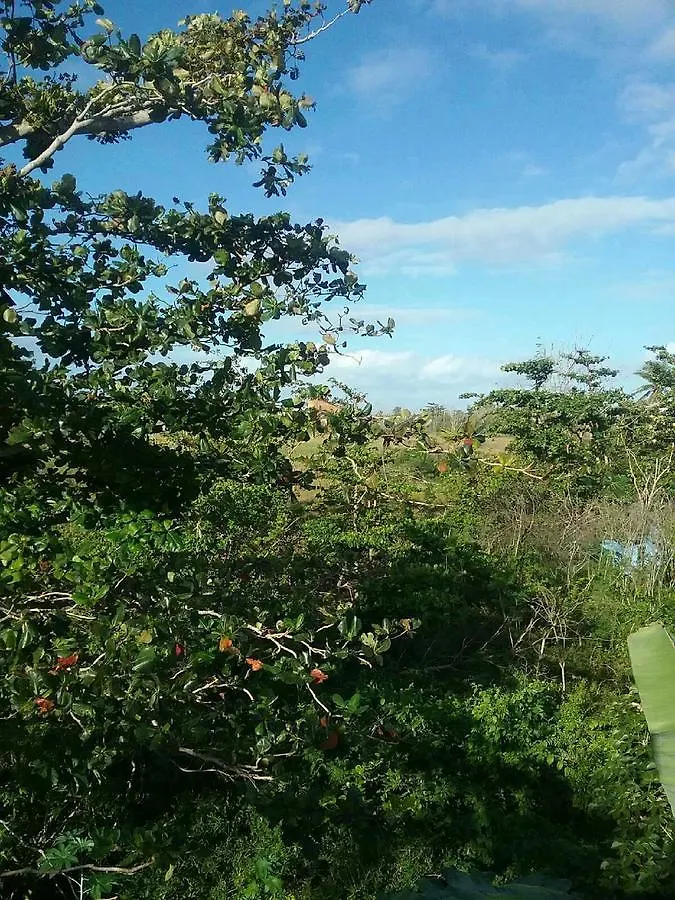 Villa Marsana Aguada 3*,